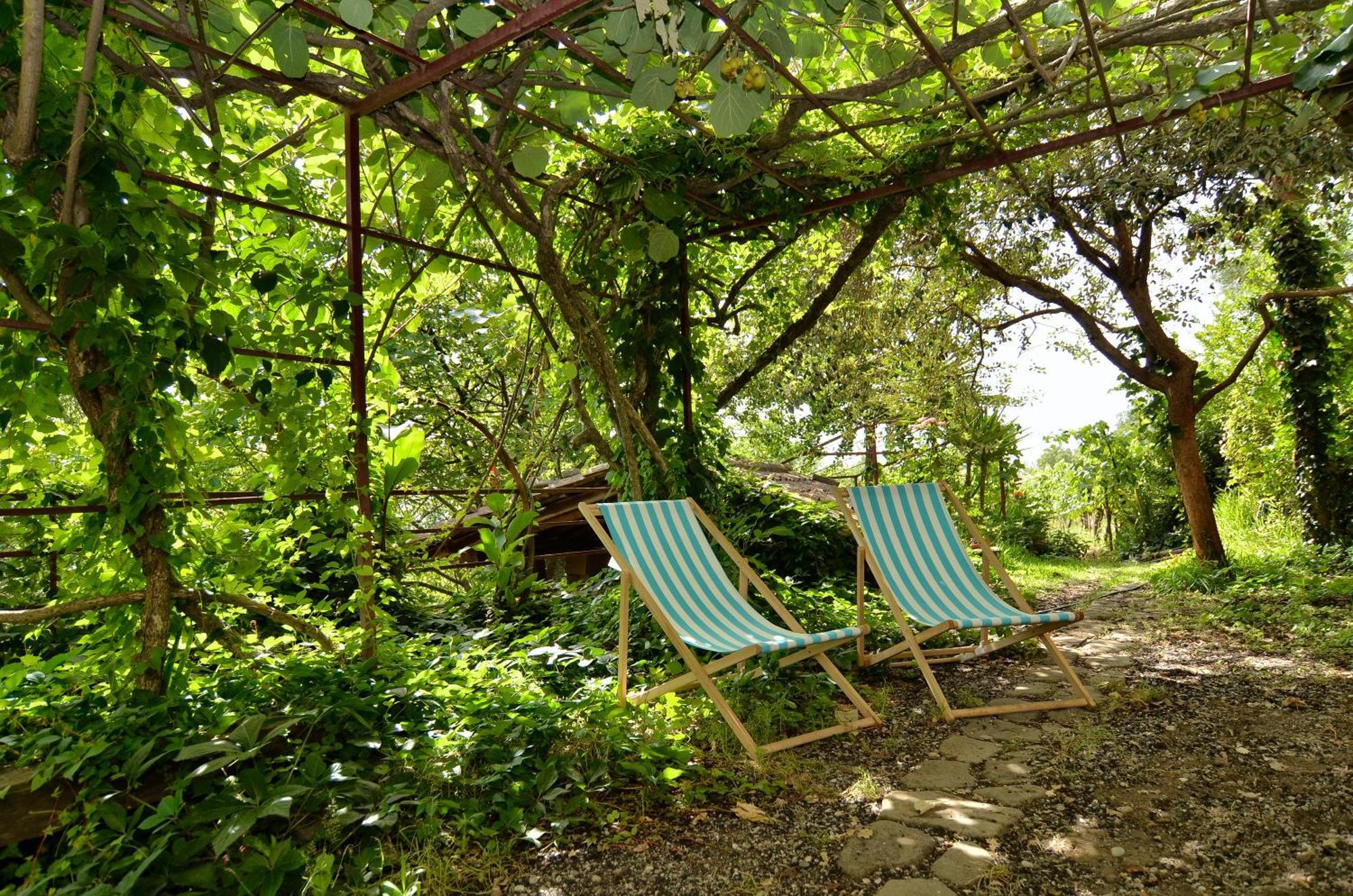 Agriturismo Etna-Mare Piedimonte Etneo Zimmer foto