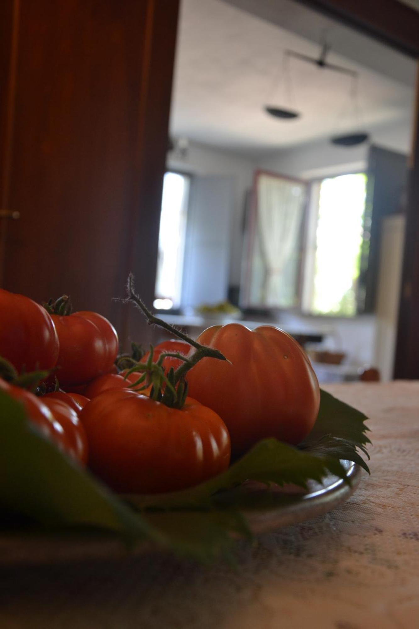 Agriturismo Etna-Mare Piedimonte Etneo Zimmer foto